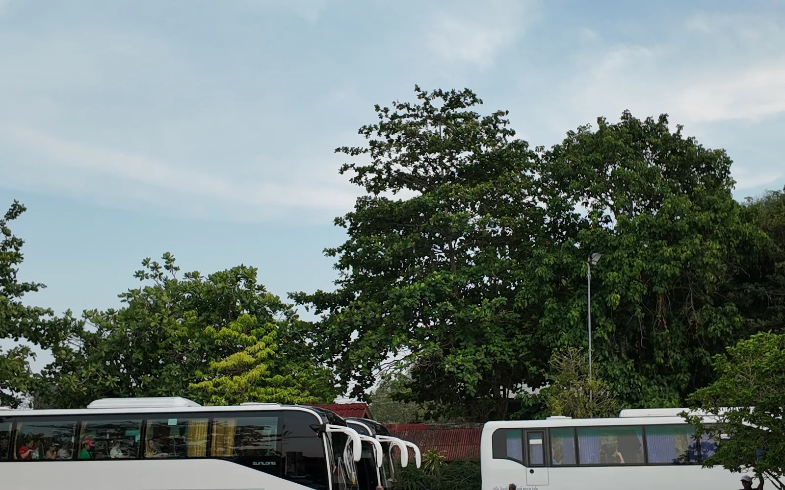White tour coaches lined up for group departure
