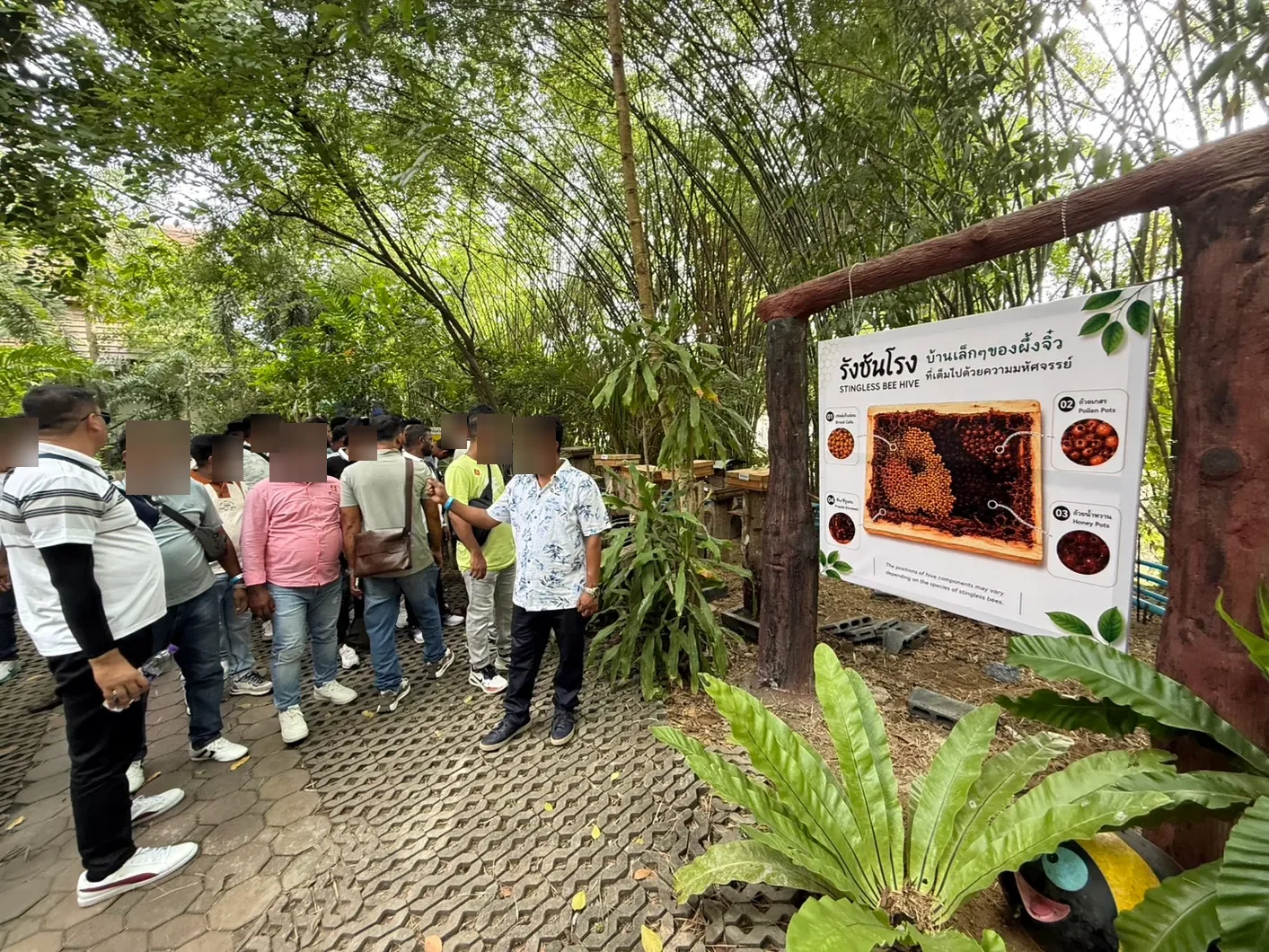 Singapore TGT group — group program